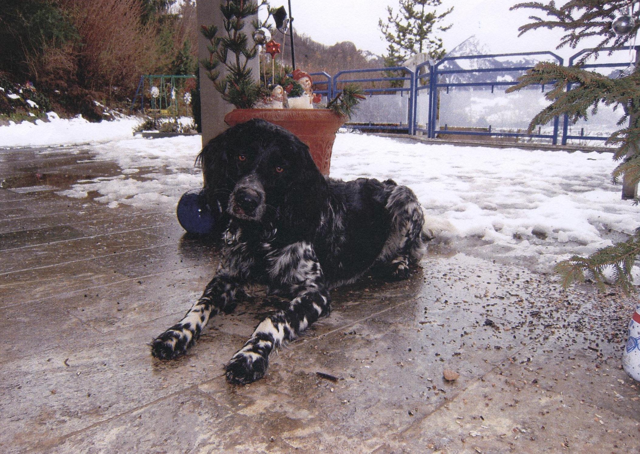 Kopie - foto_2.JPG