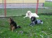 S_kolegy_-_4,5_mesice